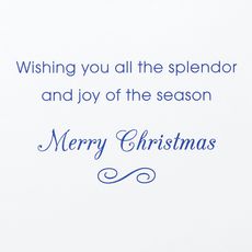 Splendor and Joy of the Season Christmas Greeting Card Image 3