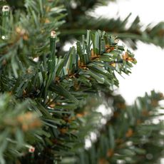 Wreath Blue Spruce