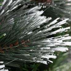 Wreath Carolina Pine Frosted