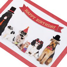 Smile You're Awesome Dog Birthday Greeting Card Image 5