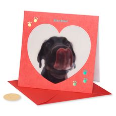 Kiss Kiss Funny Valentine's Day Greeting Card Image 5