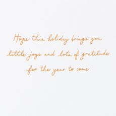 Lots of Gratitude Thanksgiving Greeting Card Image 3