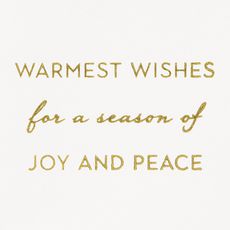Joy and Peace Christmas Greeting Card Image 4