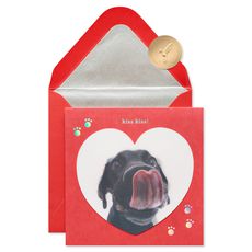 Kiss Kiss Funny Valentine's Day Greeting Card Image 2