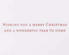 Wonderful Year to Come Christmas Greeting Card 5