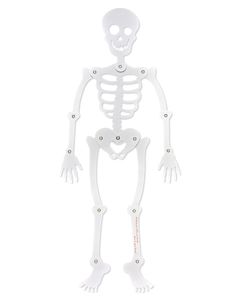 Skeleton Halloween Greeting Card