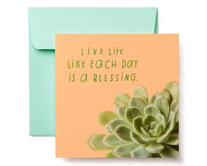 Succulent Greeting Card - Birthday, Thinking of You, Encouragement
