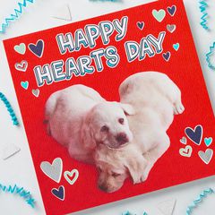 Puppies Valentine's Day Cards, 6-Count