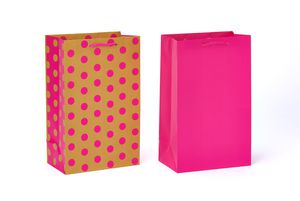 Gift Bags and Tissue Paper Bundle, 6 Count