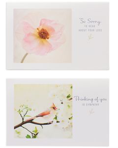 Assorted Sympathy Cards and Cream Envelopes, 12-Count