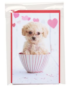 Puppy Valentine's Day Card 