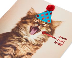 Cake Goes Here Funny Cat Birthday Greeting Card 