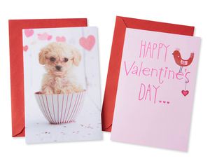 Pink Valentine's Day Card Bundle, 2-Count