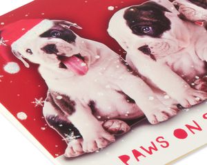 Deluxe Dog Christmas Boxed Cards and Red Envelopes, 14-Count