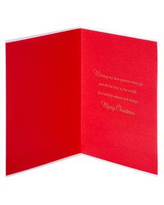 Wishing My Parents Every Joy Christmas Greeting Card for Mom and Dad 