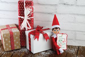 The Elf on the Shelf® Scout Elves at Play, Shrink 'n' Send