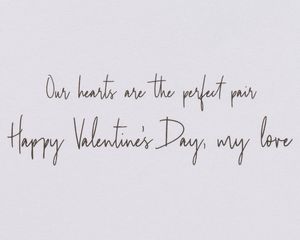 Perfect Pair Romantic Valentine's Day Greeting Card 