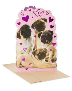 Pugs Valentine's Day Card