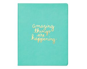 Eccolo Dayna Lee Amazing Things Journal