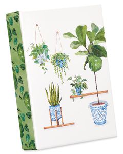 Indoor Garden Boxed Blank Note Cards with Envelopes, 14-Count