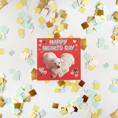 Puppies Valentine's Day Cards, 6-Count