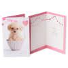 Pink Valentine's Day Card Bundle, 2-Count