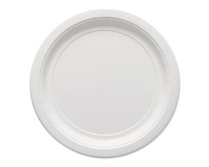 white paper dinner plates 20 ct