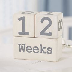 Mud Pie Milestone Blocks