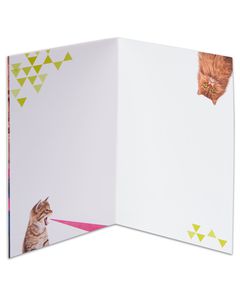 Outer Space Cats Blank Card