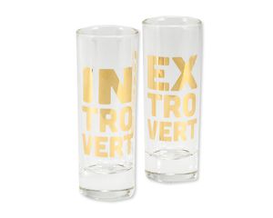 introvert & extrovert shot glasses (set of 2)