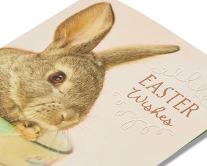 bunny easter card