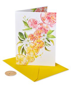 Friendship Ombre Fruit Blank Greeting Card | Papyrus
