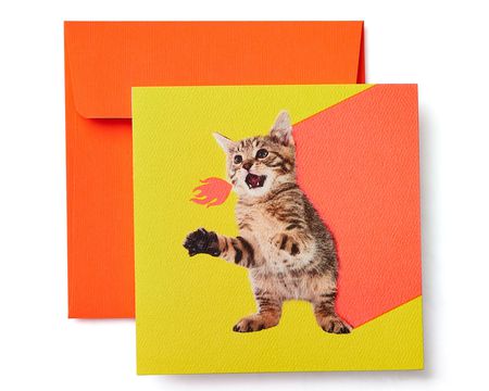 Blank Greeting Cards