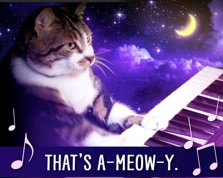 That's A-meow-y Ecard (Fun Song)