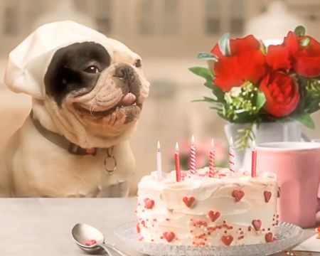 Oh, Yeah Birthday Ecard (Famous Song)