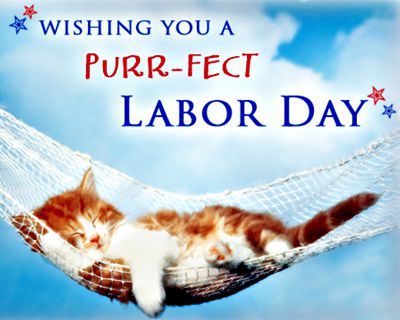Image result for labor day pets