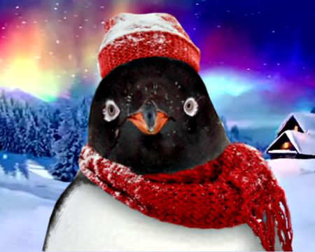 Funny Christmas Ecards & Funny Animated Christmas Cards  American