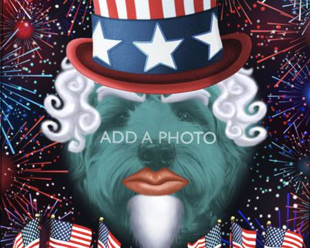Funny 4th Of July Ecards | American Greetings