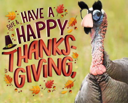 Happy Thanksgiving Cards | Try For Free | American Greetings