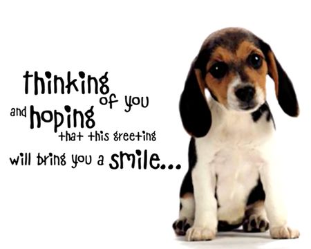 Thinking Of You Pets Ecards | American Greetings