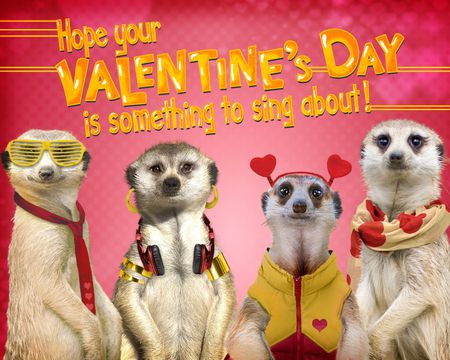 Valentine's Day Ecards - Online Valentine Greetings | American Greetings