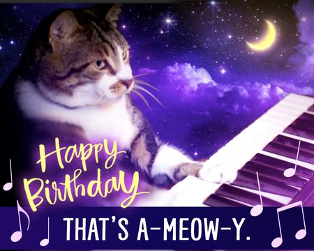 Featured image of post Free Animated Cat Birthday Ecards All animated birthday pictures are absolutely free and can be linked directly downloaded or shared via ecard