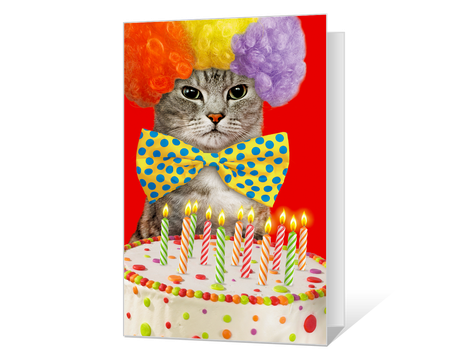 printable birthday pets cards american greetings