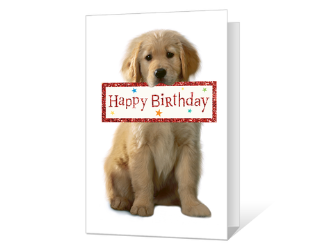 Printable Birthday Pets Cards American Greetings
