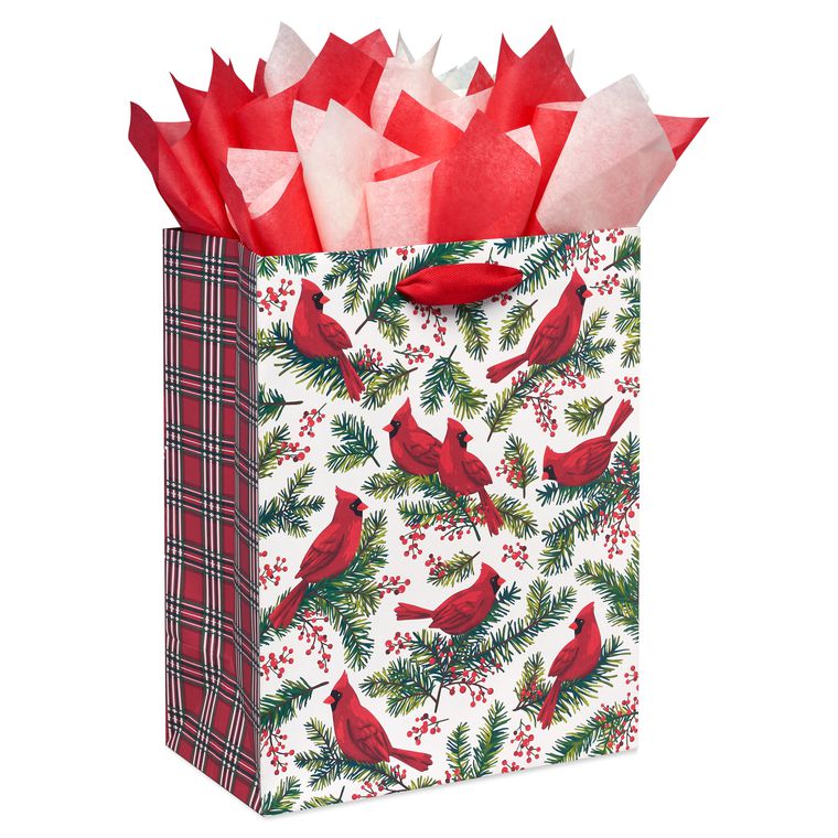 Evergreen Large Holiday Gift Bag with Tissue Paper, 1 Bag, 8 Sheets