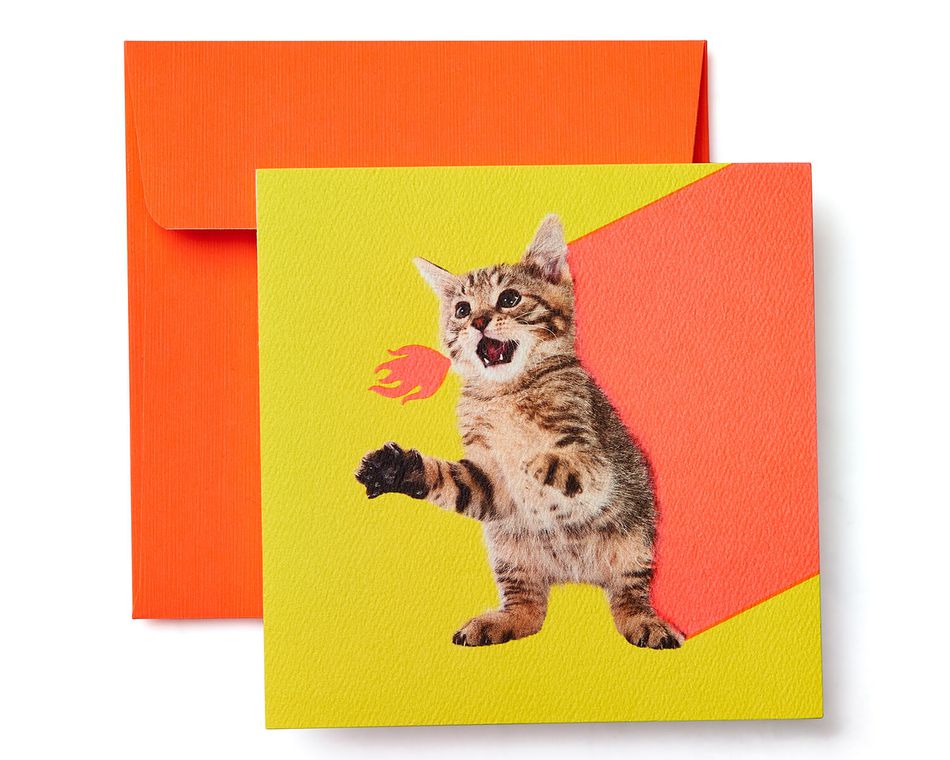 Kitten Blank Card - Birthday, Friendship, Thinking of You