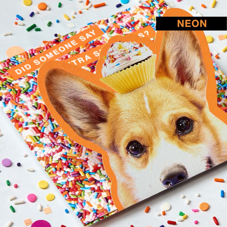 corgi-birthday-greeting-card-for-kids-american-greetings