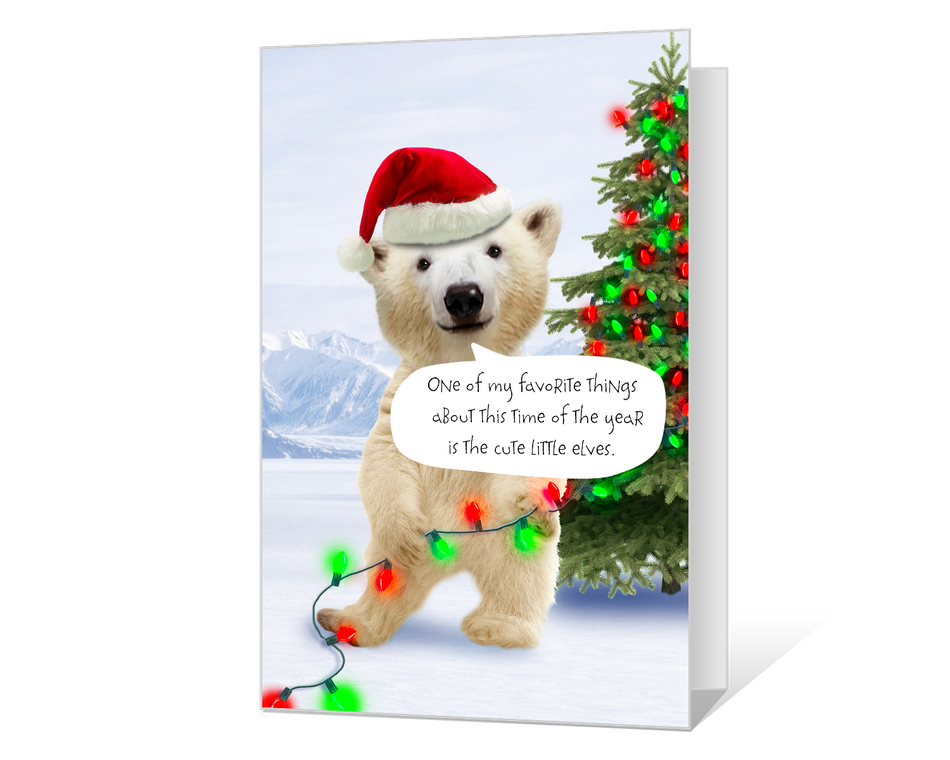 polar bear for christmas