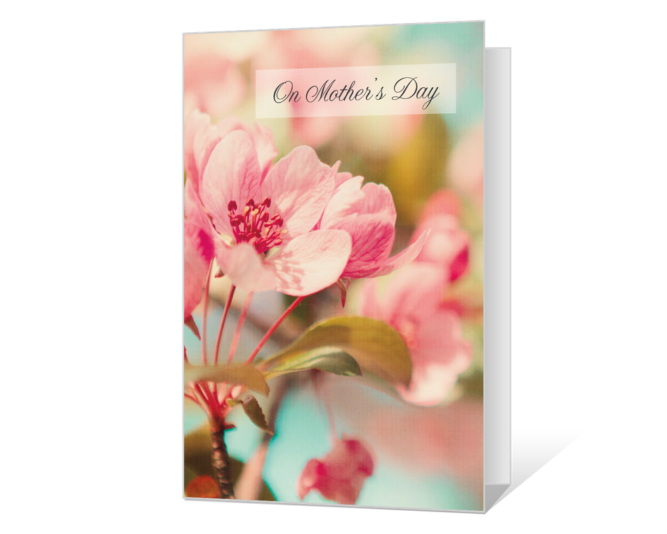 On Mother's Day