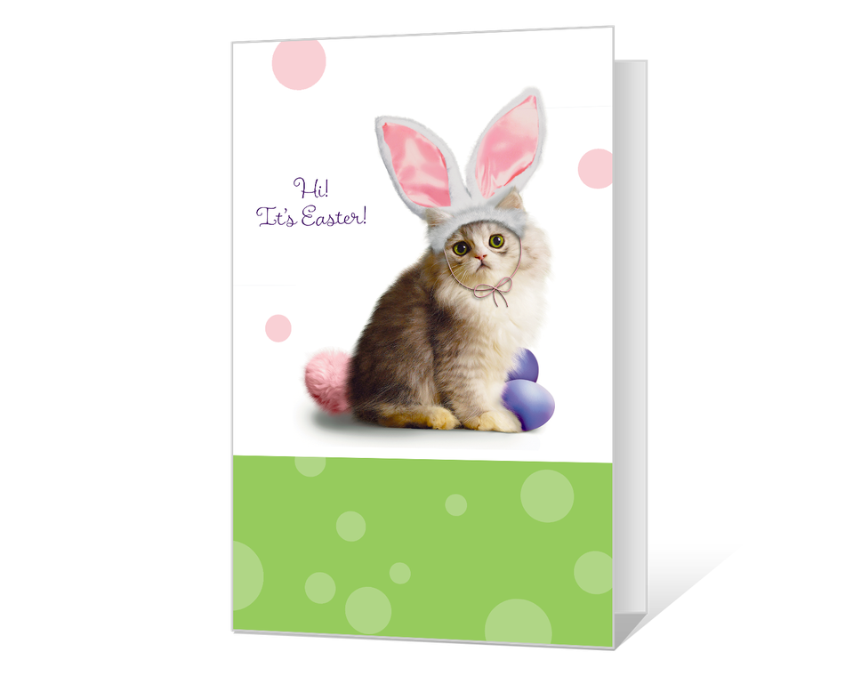 Purrfect Easter